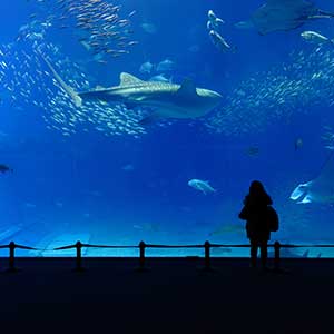 Marine Science