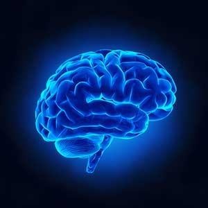 AP Psychology online course