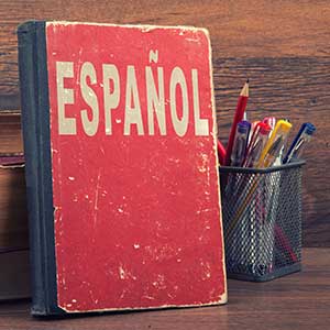 Spanish 1 - Credit Recovery